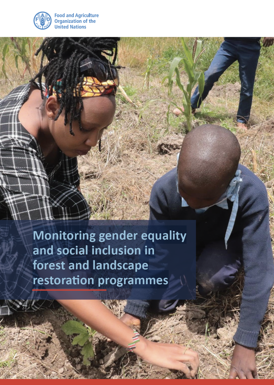 Monitoring Gender Equality and Social Inclusion in Forest and Landscape ...